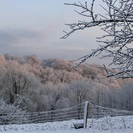 Manoir De La Guerie *