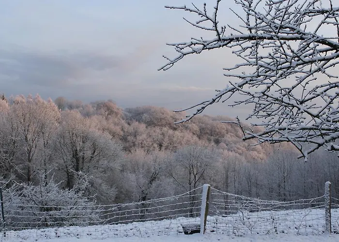 Manoir De La Guerie *